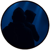 Vibfy